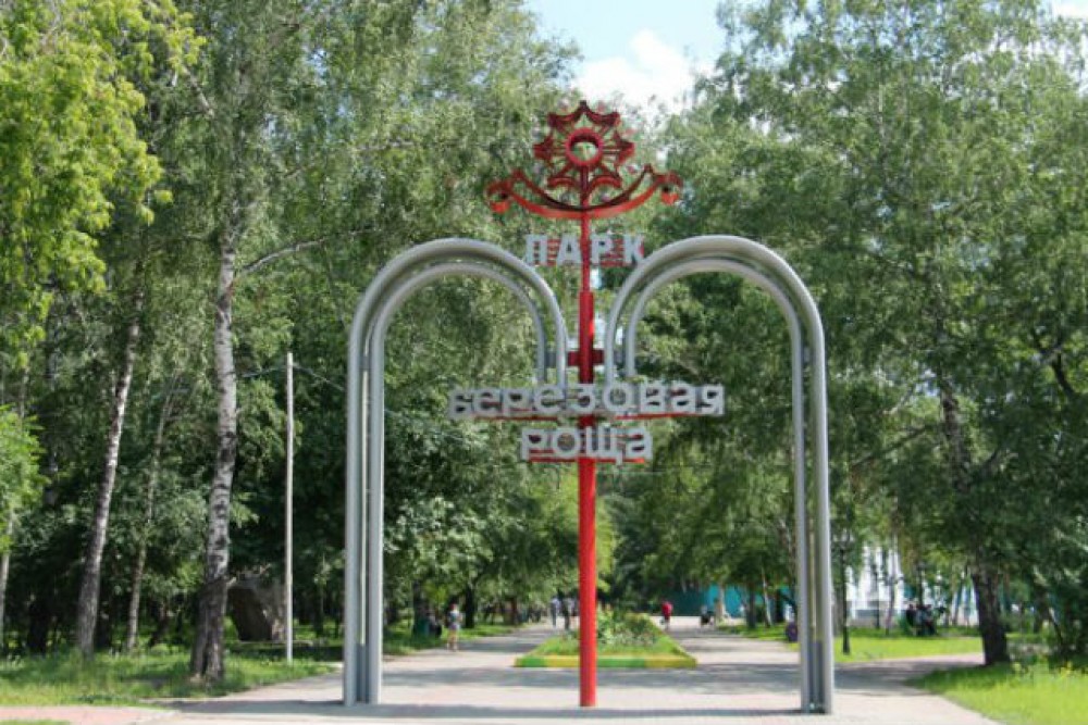 Новосибирск Проститутки Госпожа Березовая Роща