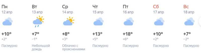 Фото В Новосибирск на следующей неделе придёт потепление до +18 градусов 3