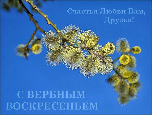 Фото Вербное воскресенье-2022: красивые картинки и поздравления с православным праздником 7