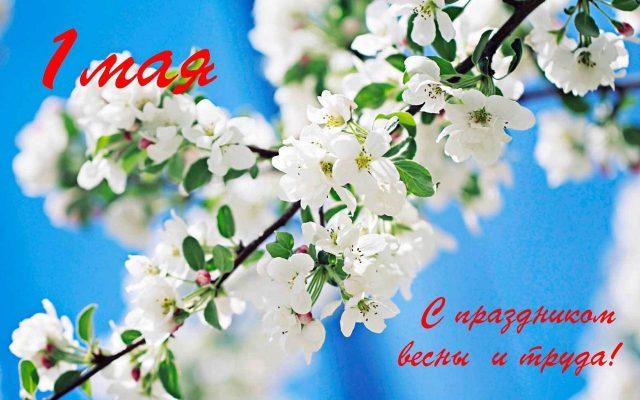 Фото Праздник Весны и Труда 1 Мая: новые красивые открытки и поздравления в стихах с Первомаем-2022 5