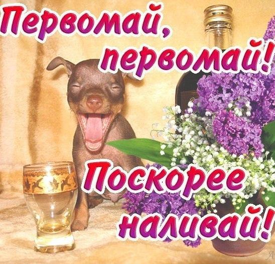 Фото Праздник Весны и Труда 1 Мая: новые красивые открытки и поздравления в стихах с Первомаем-2022 6