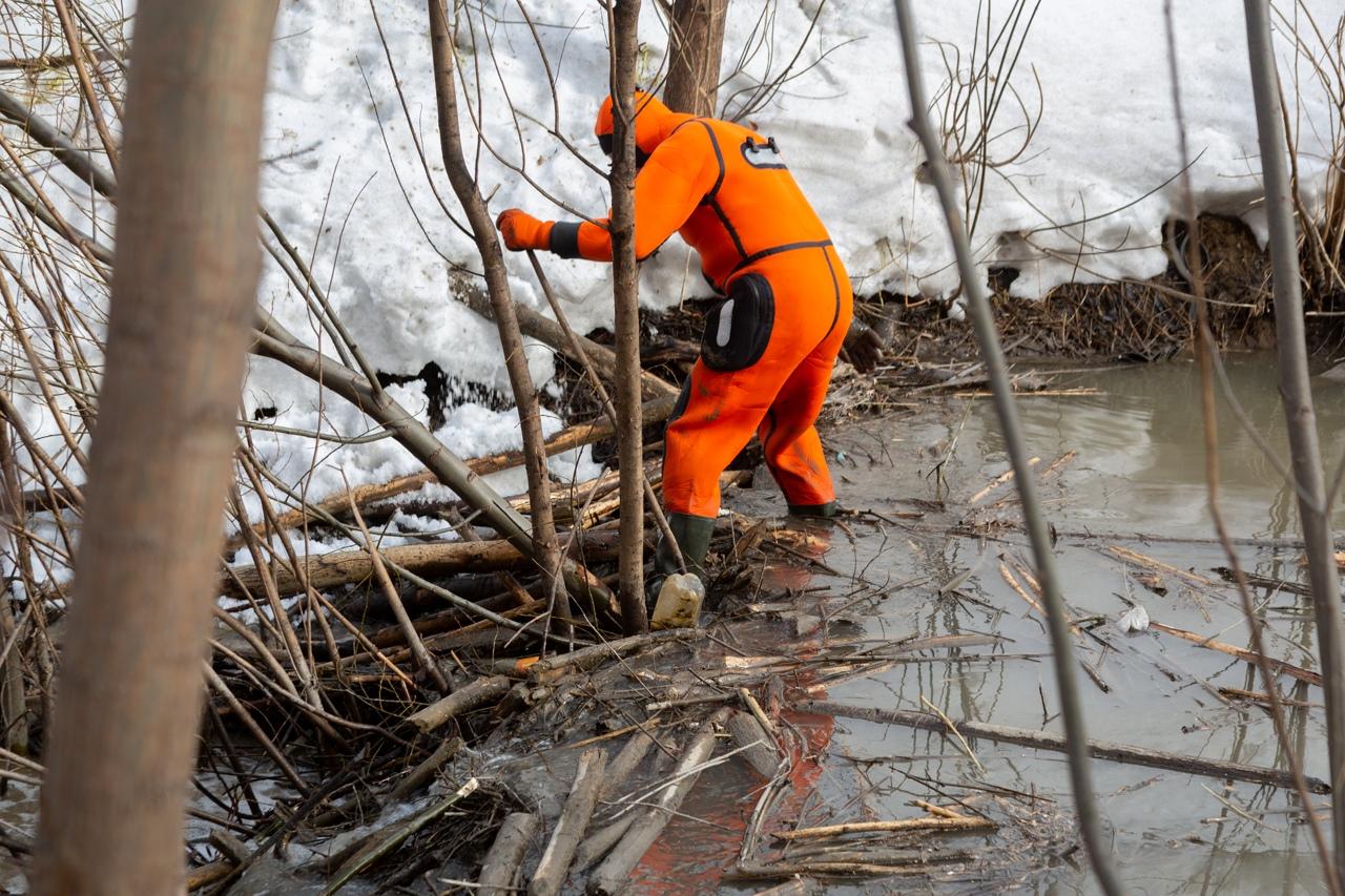 Фото Спасатели разобрали бобровую плотину в пойме 1-й Ельцовки в Новосибирске 2