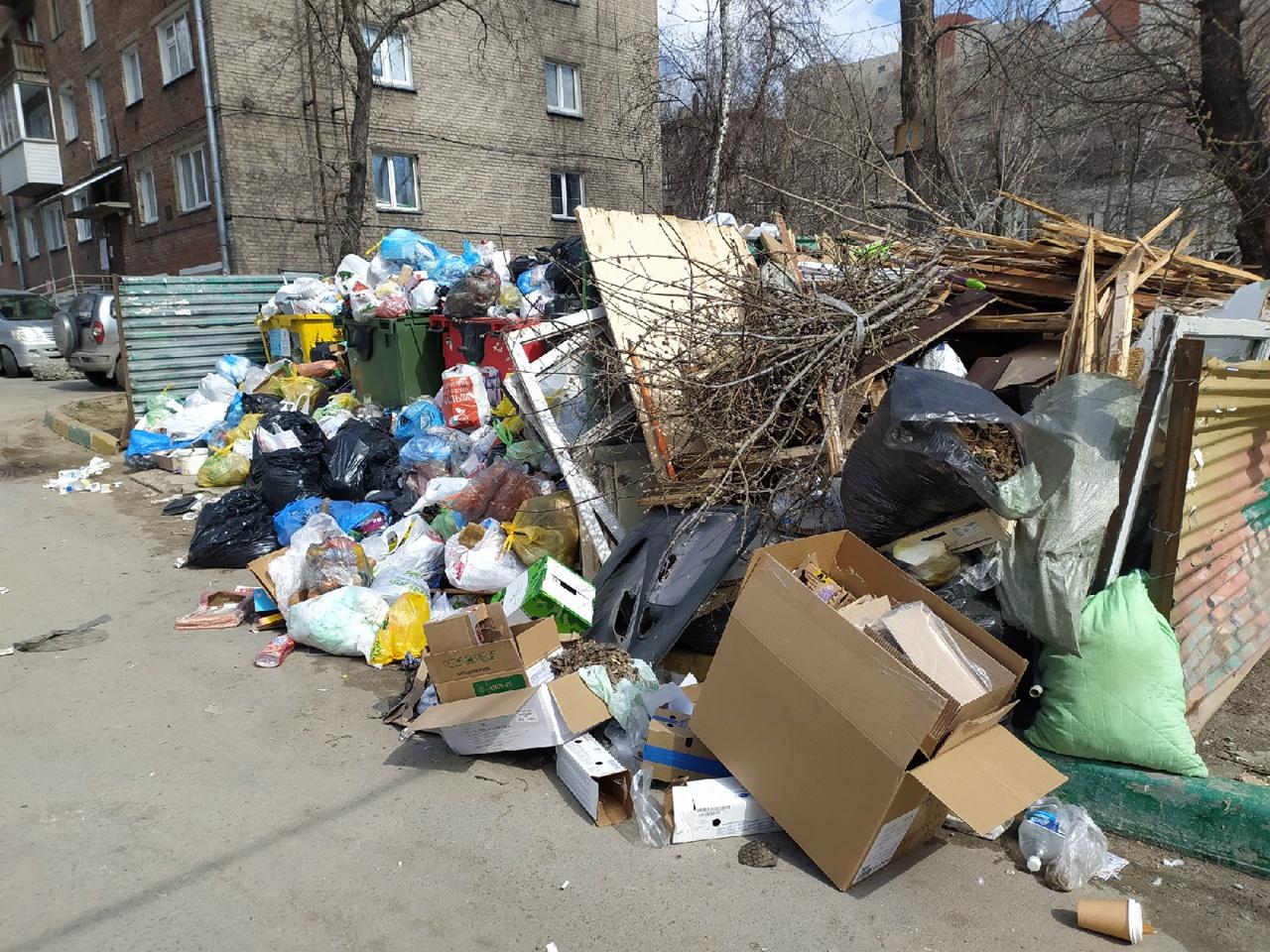 Фото В трёх районах Новосибирска сохраняются проблемы с вывозом мусора 7
