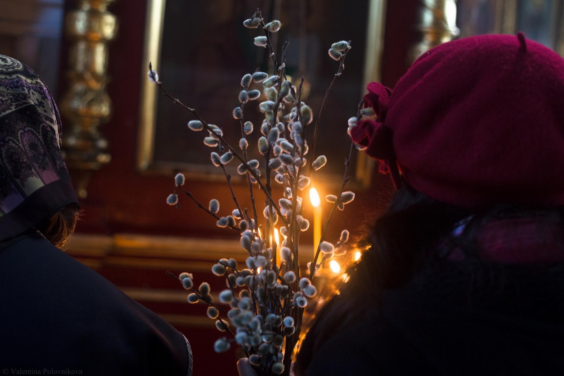 Фото Исцеляющие молитвы на Вербное воскресенье-2022: главные традиции и запреты православного праздника 17 апреля 6