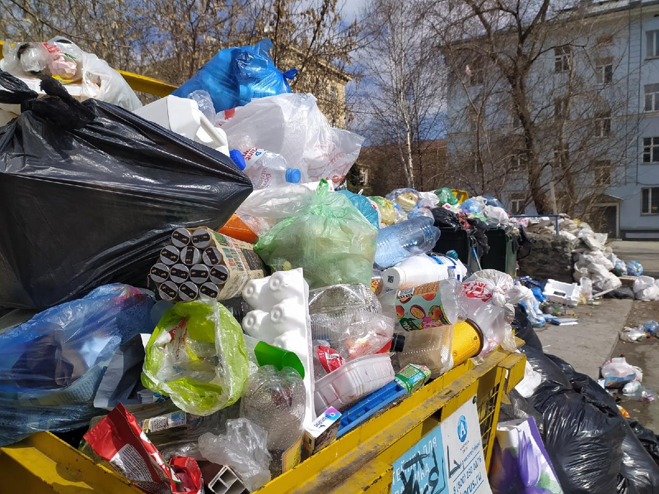 Фото В трёх районах Новосибирска сохраняются проблемы с вывозом мусора 2