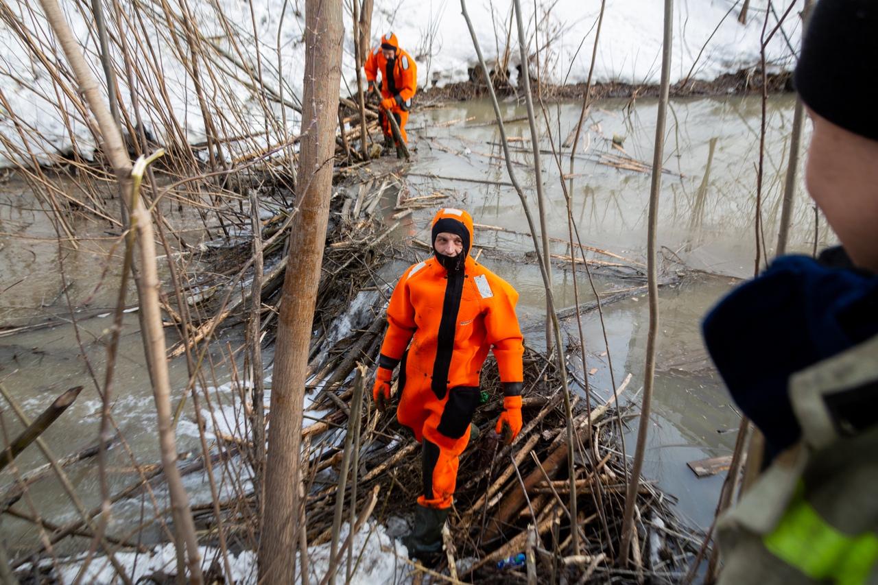 Фото Спасатели разобрали бобровую плотину в пойме 1-й Ельцовки в Новосибирске 4