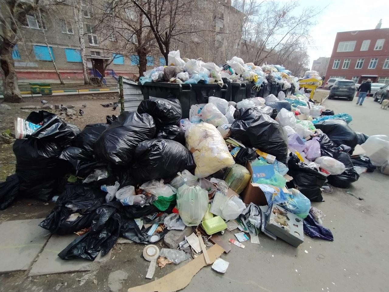 Фото В трёх районах Новосибирска сохраняются проблемы с вывозом мусора 6
