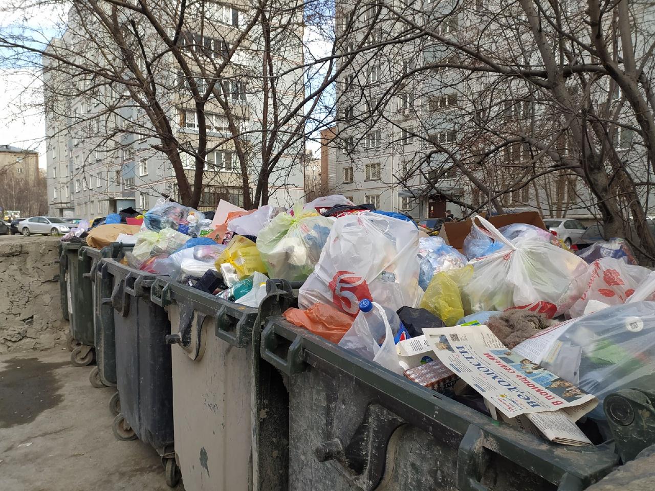 Фото В трёх районах Новосибирска сохраняются проблемы с вывозом мусора 9