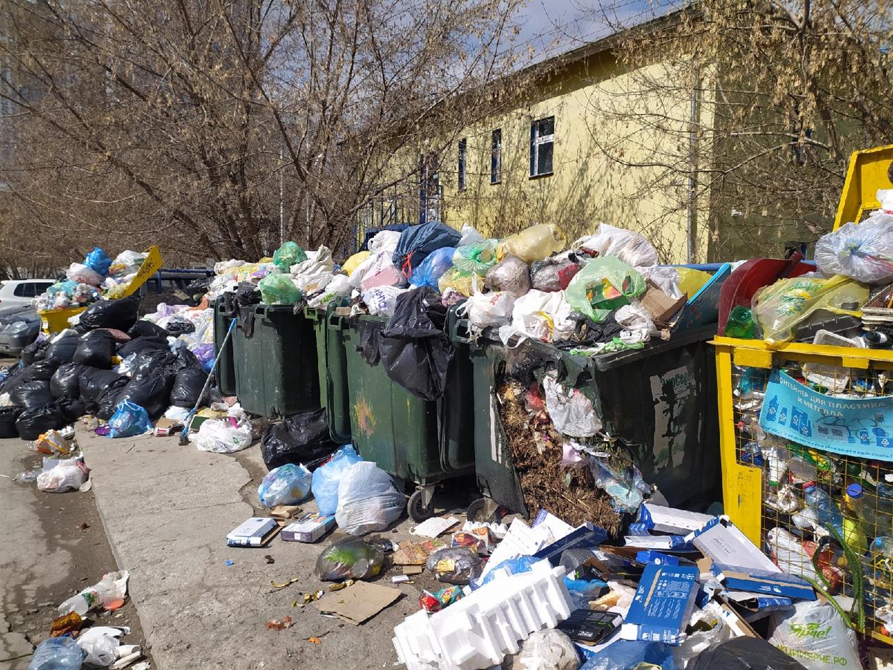 Фото В трёх районах Новосибирска сохраняются проблемы с вывозом мусора 4