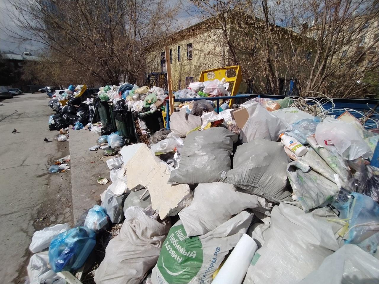 Фото В трёх районах Новосибирска сохраняются проблемы с вывозом мусора 3