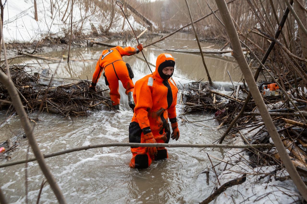 Фото Спасатели разобрали бобровую плотину в пойме 1-й Ельцовки в Новосибирске 3