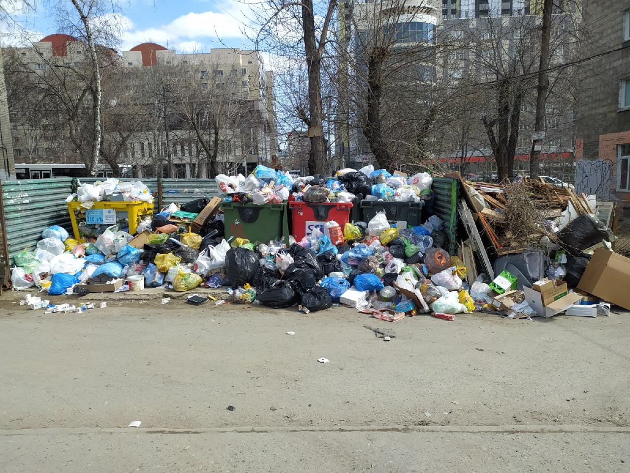 Фото В трёх районах Новосибирска сохраняются проблемы с вывозом мусора 8