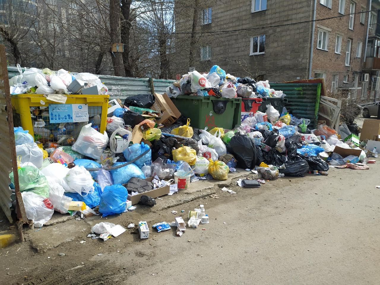 Фото В трёх районах Новосибирска сохраняются проблемы с вывозом мусора 5