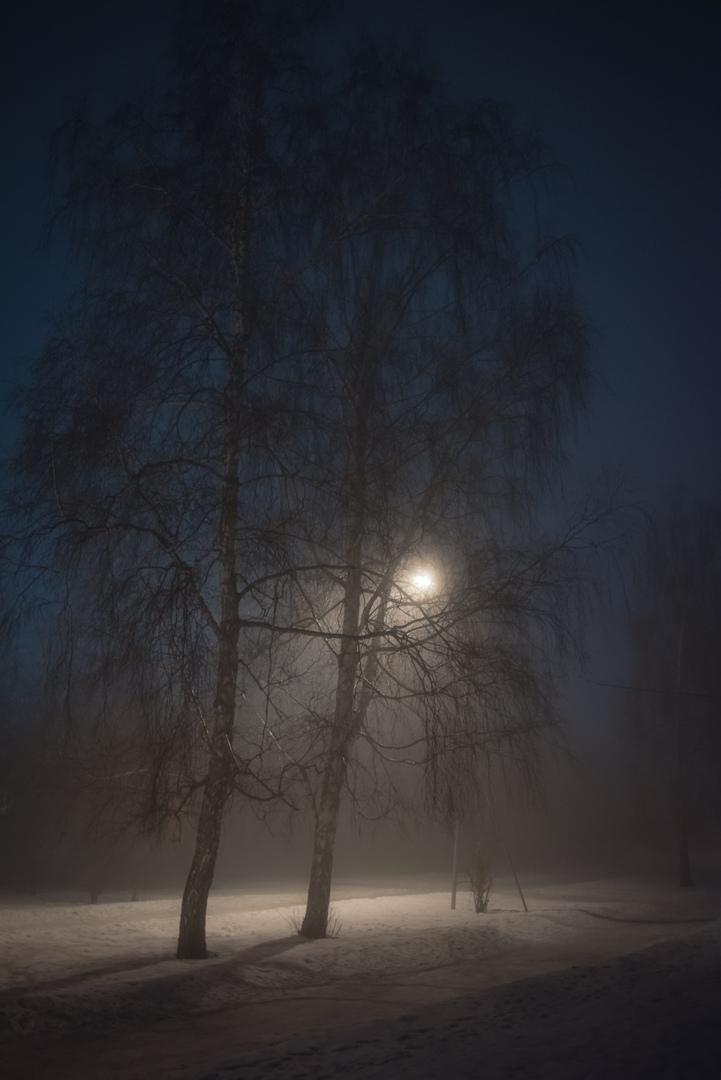 Фото Плотный туман накрыл Новосибирск ночью 4 апреля 5