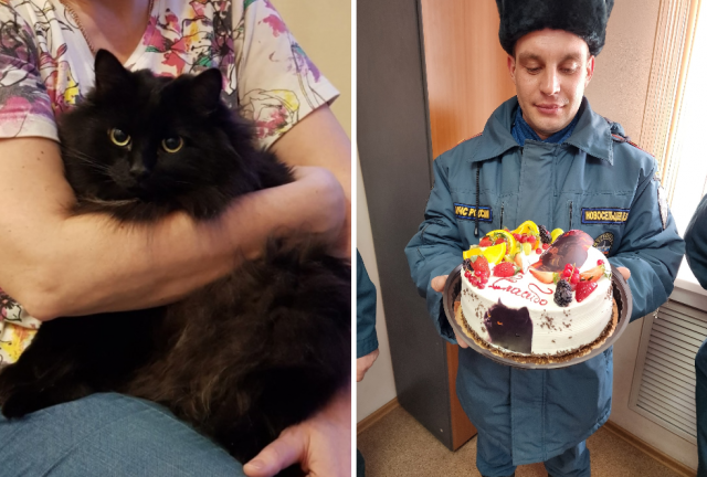 Фото В Новосибирске пожарный откачал кошку без сознания и получил торт 2