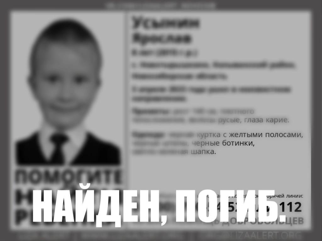 Фото Гибель 8-летнего мальчика, пикет против Киркорова, нападение на школьницу и старт призывной кампании: итоги недели на Сиб.фм 8