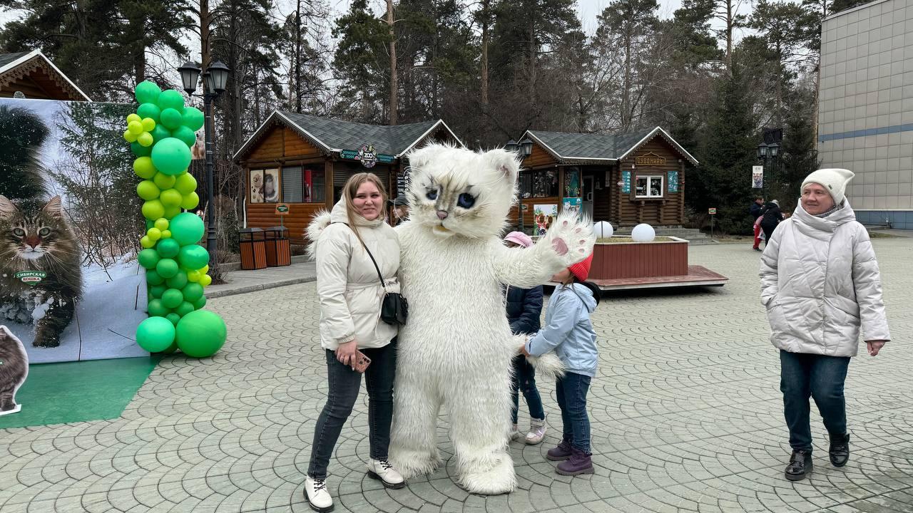Фото Пушистые и задумчивые: фоторепортаж Дня манула в Новосибирском зоопарке 12