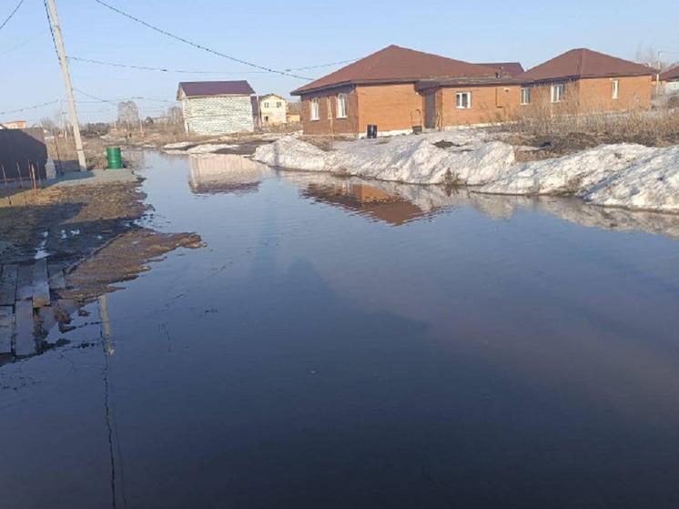 Фото Паводок в Новосибирской области-2024: подтопленные территории, опасные реки и риск прорыва платины ГЭС 4