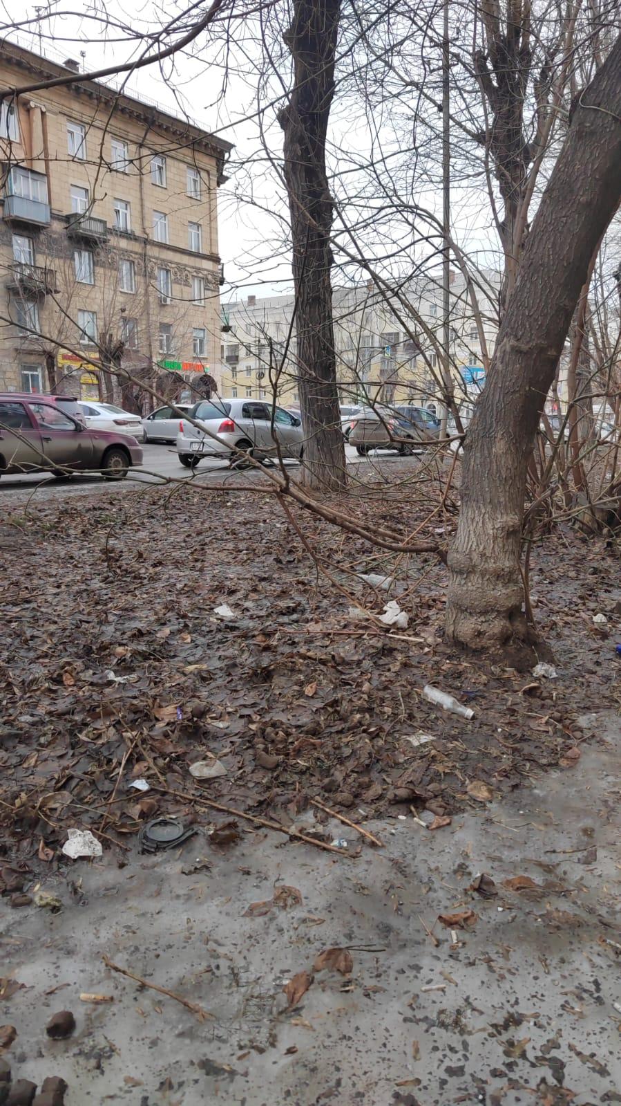 Фото Центр Сибири или город-помойка? Новосибирск оказался завален тоннами мусора после таяния снега. Репортаж 4