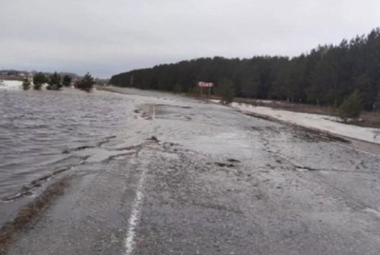Фото «Заминированный» автобус, запутавшийся троллейбус и сбитый пешеход: главное в Новосибирске 8 апреля 5 - Сиб.ФМ Фото «Заминированный» автобус, запутавшийся троллейбус и сбитый пешеход: главное в Новосибирске 8 апреля 5