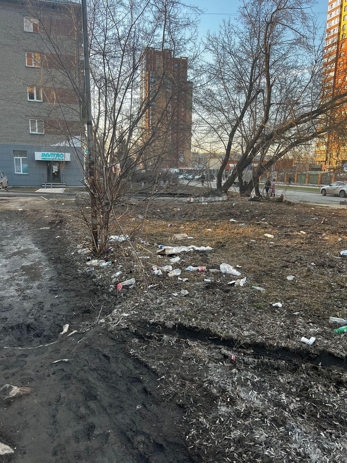 Фото Центр Сибири или город-помойка? Новосибирск оказался завален тоннами мусора после таяния снега. Репортаж 6