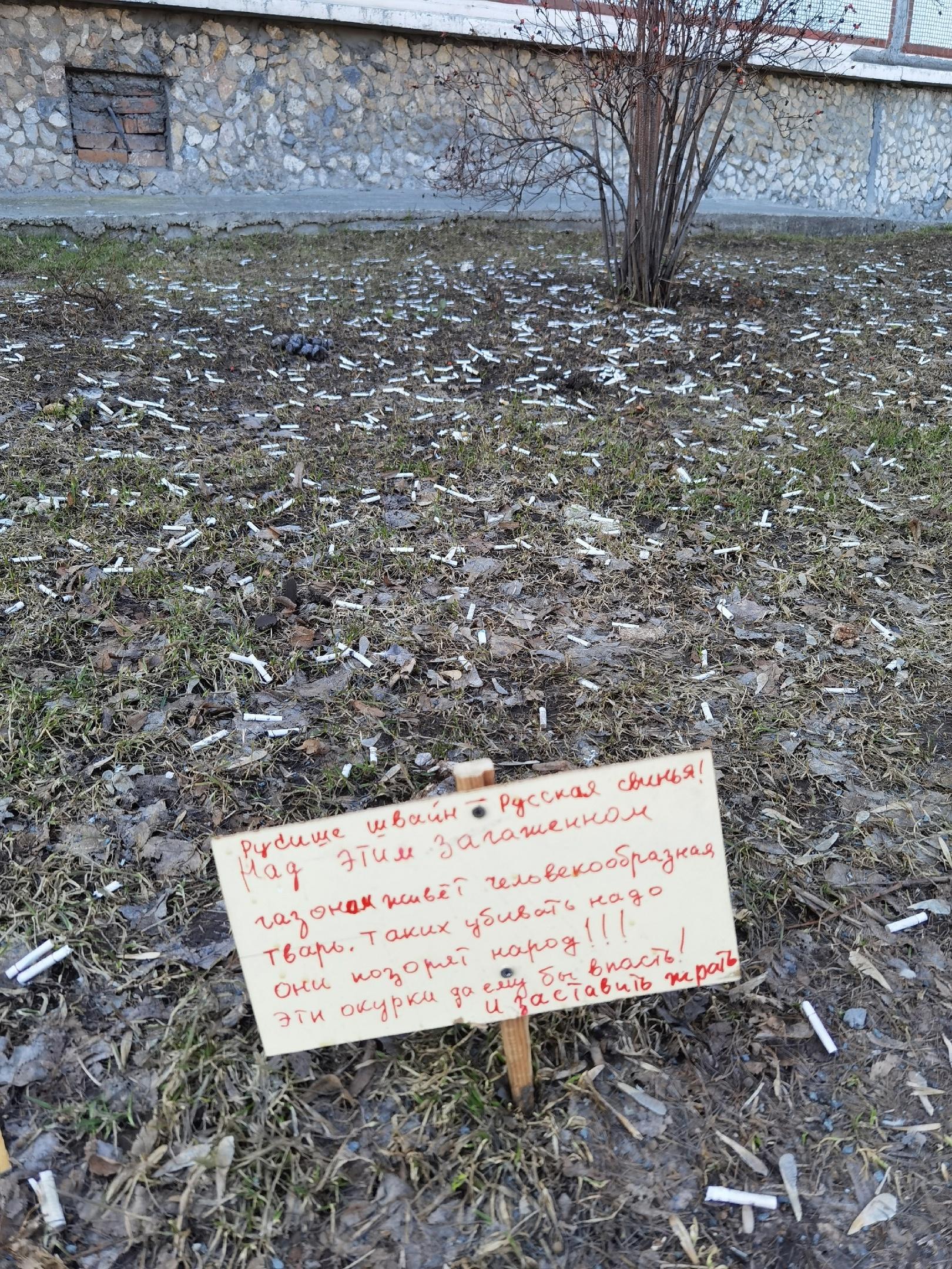 Фото «Они позорят народ»: в Новосибирске заметили на газоне рядом с кучей окурков табличку с оскорблением русских 2