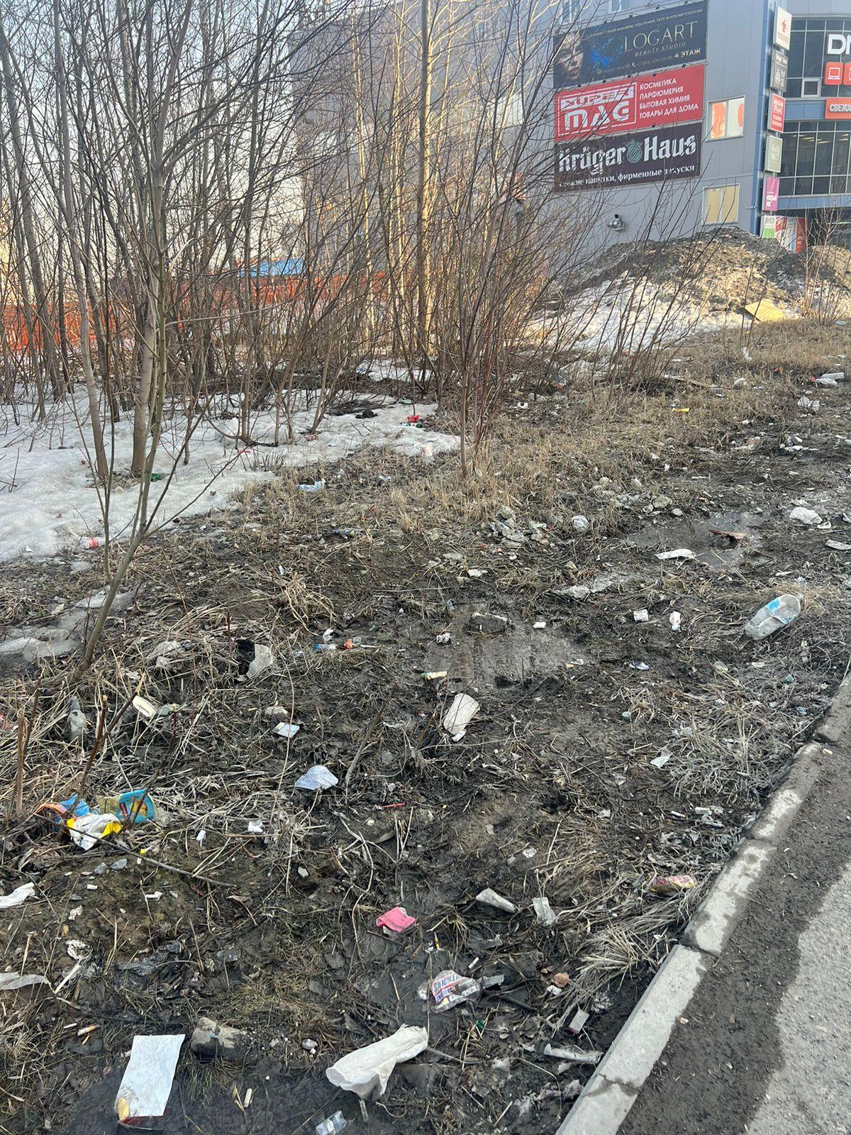 Фото В Новосибирске опубликованы фотографии заваленного мусором города 3