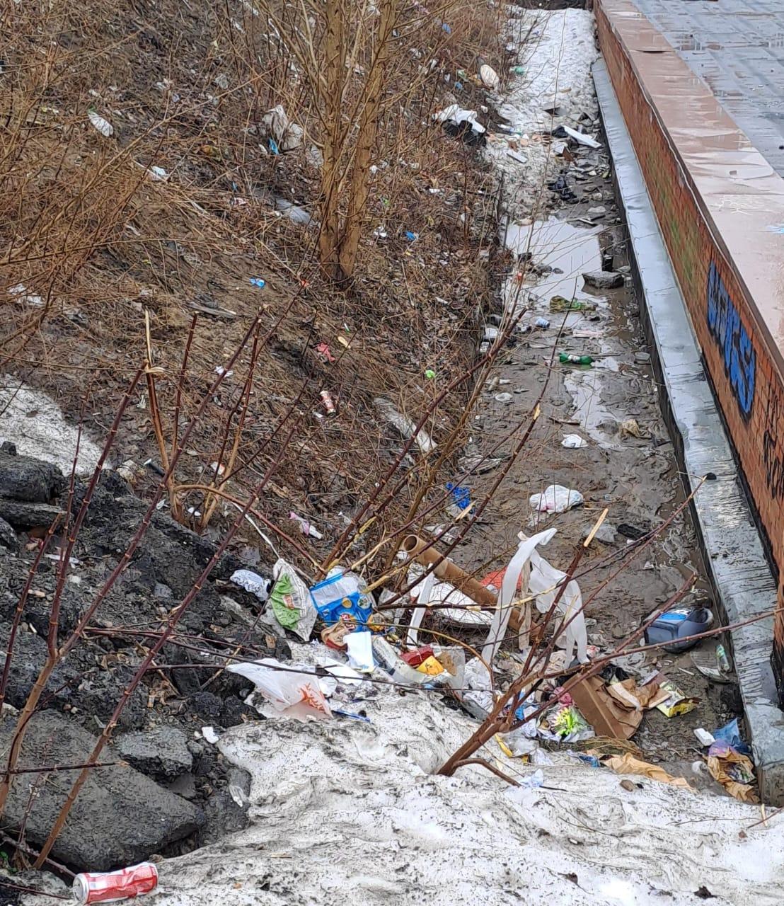 Фото Центр Сибири или город-помойка? Новосибирск оказался завален тоннами мусора после таяния снега. Репортаж 2