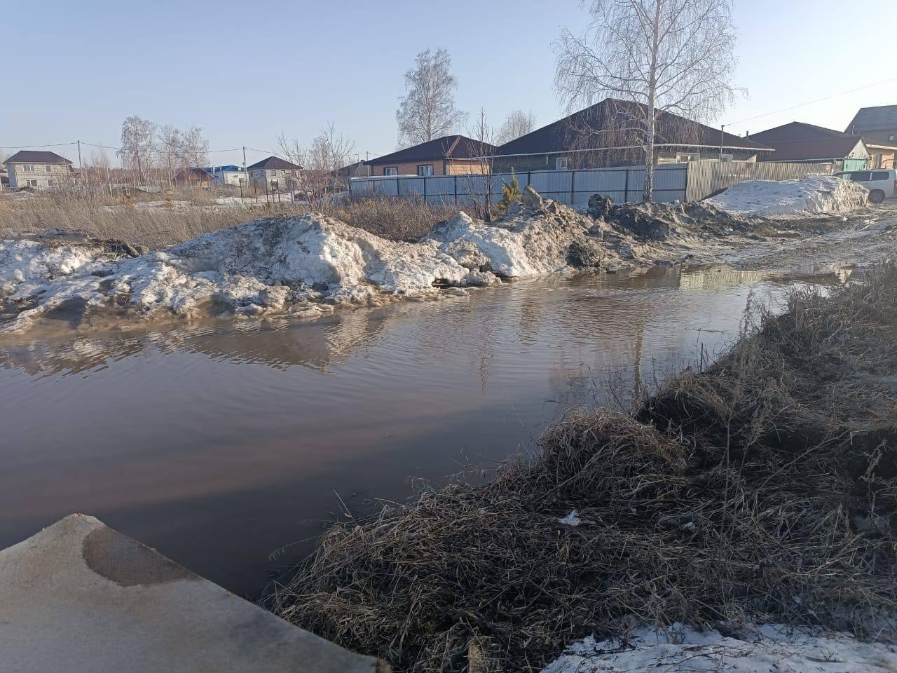 Фото Воды 56 сантиметров: под Новосибирском талые воды затопили целый поселок 3