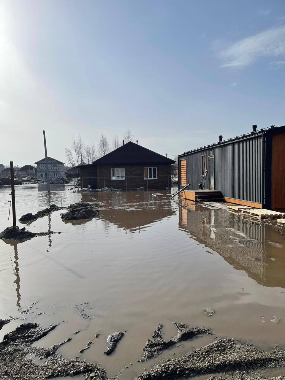 Фото Воды 56 сантиметров: под Новосибирском талые воды затопили целый поселок 2