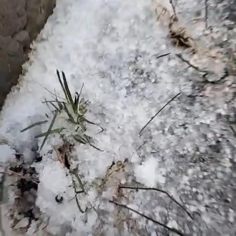 Фото На Новосибирск обрушились град и ураганный ветер. Фото аномальных осадков и последствий 5