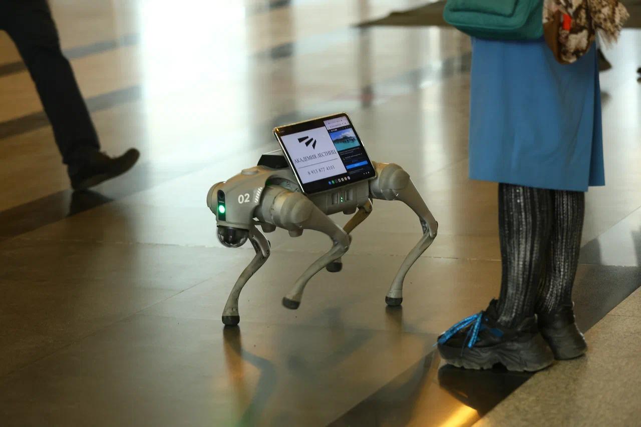 Фото Оружие и квадроциклы. В Новосибирске показали оборудование и технику для охоты на выставке в «Экспоцентре» 13