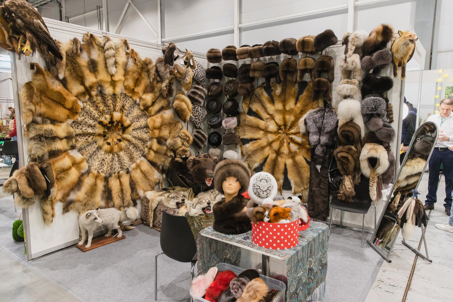 Фото Дом на колёсах, мощные машины и лодки. Опубликованы фото крупнейшей выставки «Активный отдых» в новосибирском Экспоцентре 20 - Сиб.ФМ Фото Дом на колёсах, мощные машины и лодки. Опубликованы фото крупнейшей выставки «Активный отдых» в новосибирском Экспоцентре 20