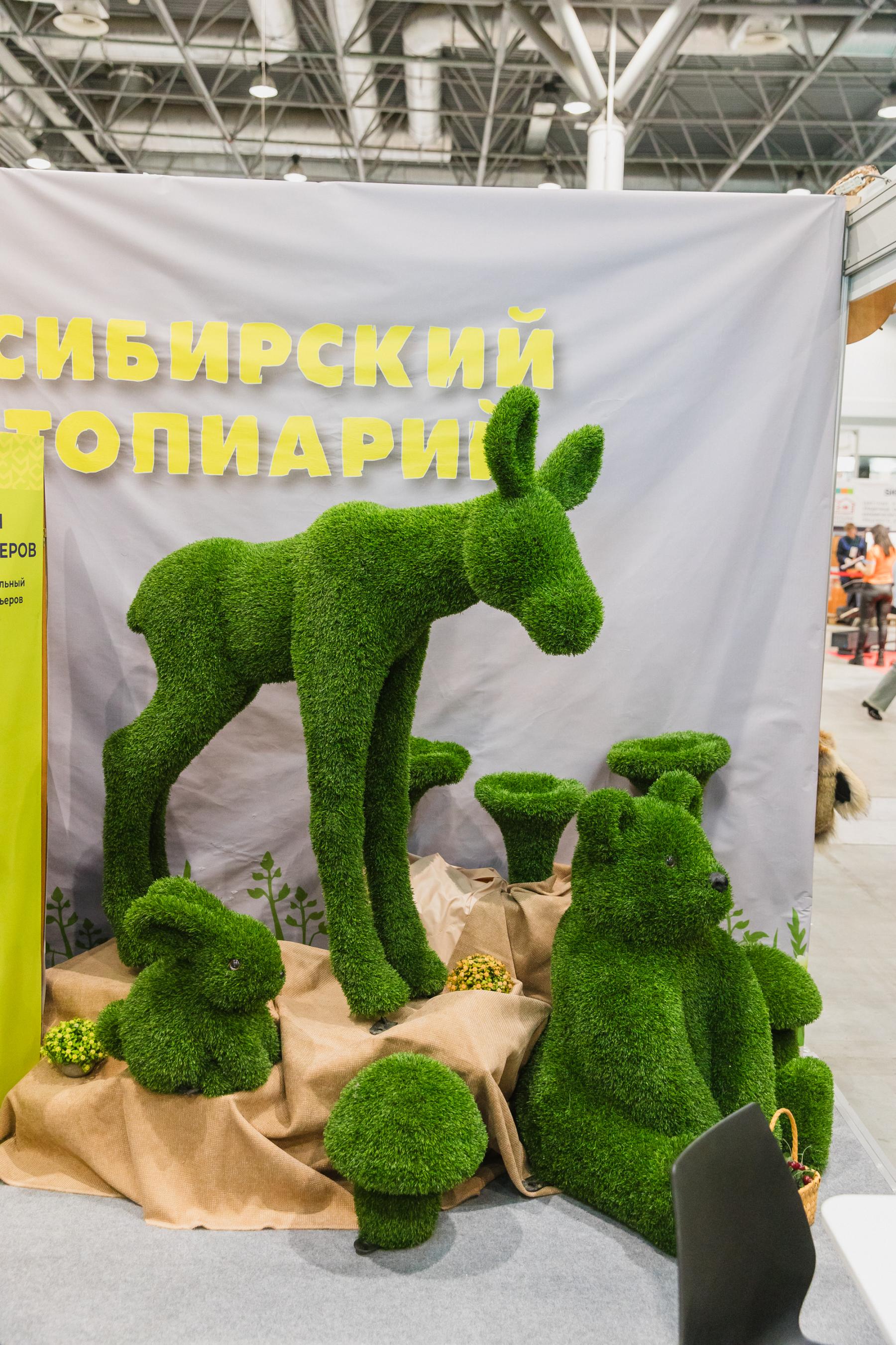 Фото Дом на колёсах, мощные машины и лодки. Опубликованы фото крупнейшей выставки «Активный отдых» в новосибирском Экспоцентре 19 - Сиб.ФМ Фото Дом на колёсах, мощные машины и лодки. Опубликованы фото крупнейшей выставки «Активный отдых» в новосибирском Экспоцентре 19