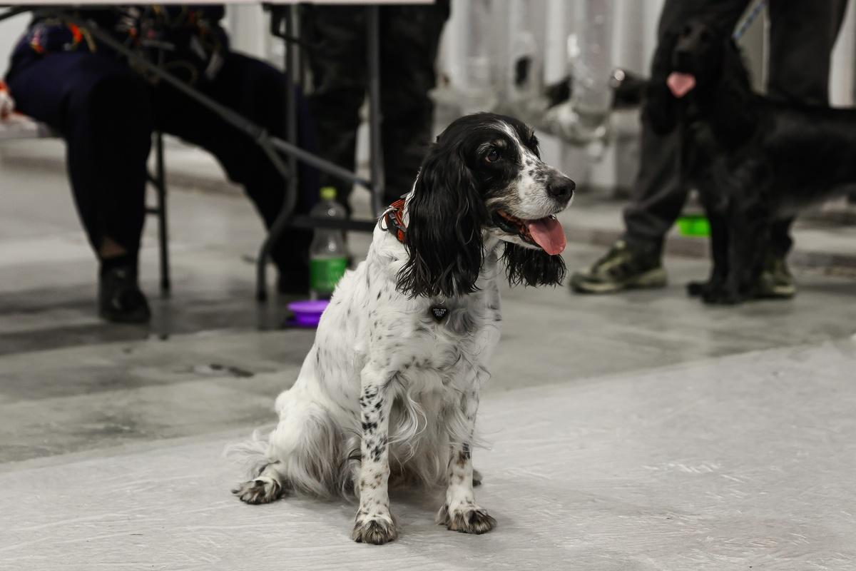 Фото От стрельбы из лука и квадроциклов до пивного рекорда: чем удивила выставка «Активный отдых» в Новосибирске - 30 ярких фото 25