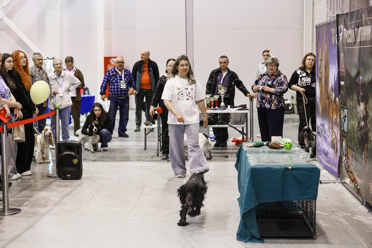 Фото От стрельбы из лука и квадроциклов до пивного рекорда: чем удивила выставка «Активный отдых» в Новосибирске - 30 ярких фото 20