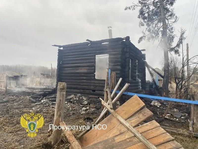 Фото Опубликованы кадры страшного пожара в Новосибирской области, в котором погибли мать и двое детей 4