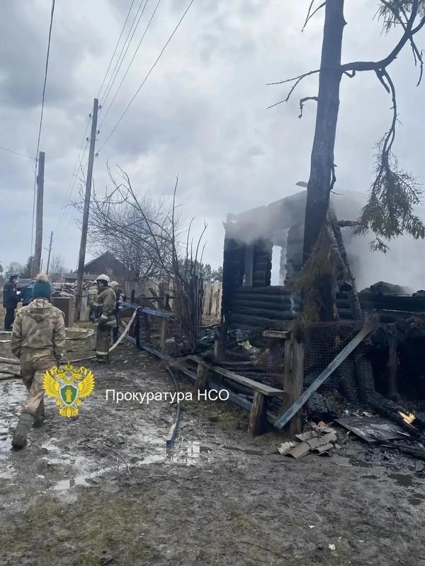 Фото Опубликованы кадры страшного пожара в Новосибирской области, в котором погибли мать и двое детей 3