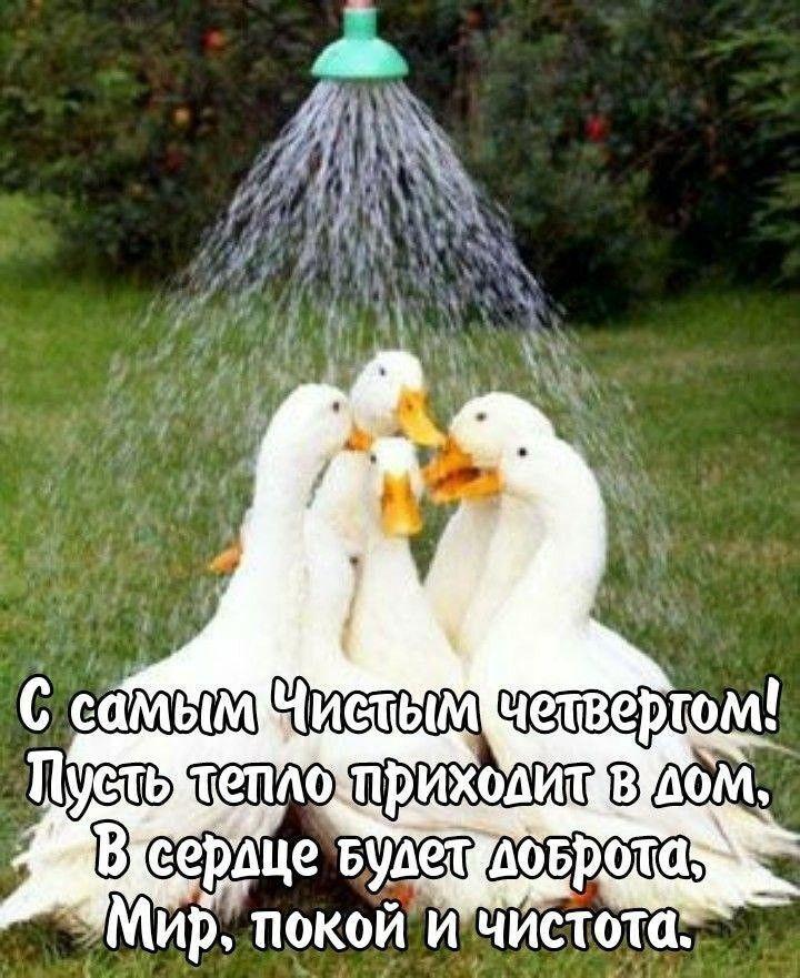 Фото Чистый четверг-2026: картинки и открытки к 9 апреля 10 - Сиб.ФМ Фото Чистый четверг-2026: картинки и открытки к 9 апреля 10