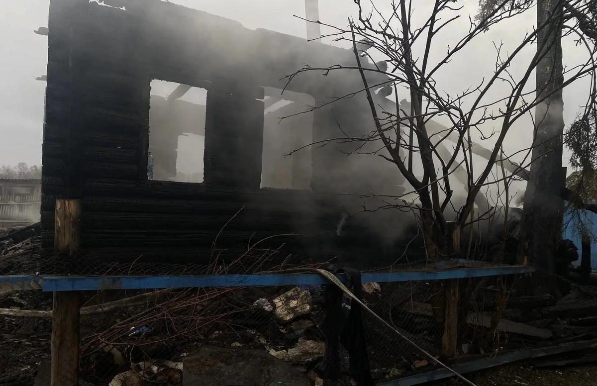 Фото Опубликованы кадры страшного пожара в Новосибирской области, в котором погибли мать и двое детей 2