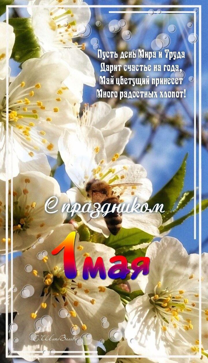 Фото Открытки с 1 Мая: душевные поздравления с Днём Весны и Труда 7