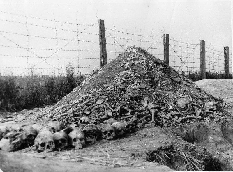 Фото В Новосибирске опубликовано 10 жутких кадров узников концлагерей 3 - Сиб.ФМ Фото В Новосибирске опубликовано 10 жутких кадров узников концлагерей 3