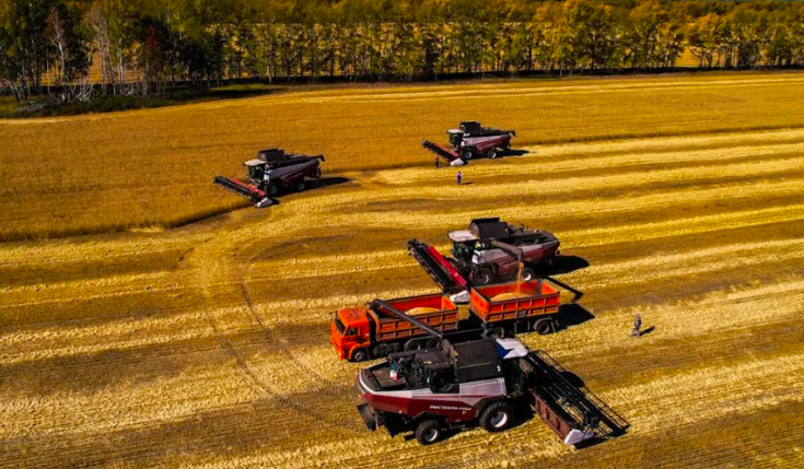 Фото Битва за урожай и аграрная стратегия. Что обещал экс-глава Минсельхоза Новосибирской области Андрей Шинделов накануне громкой отставки 2