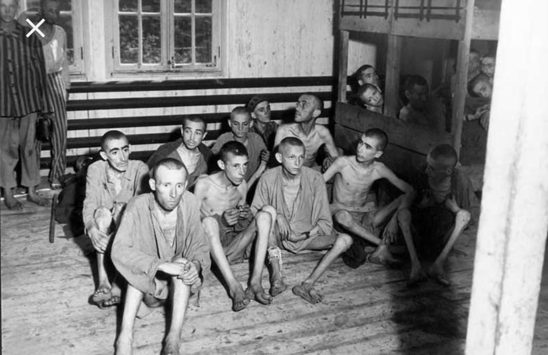 Фото В Новосибирске опубликовано 10 жутких кадров узников концлагерей 10 - Сиб.ФМ Фото В Новосибирске опубликовано 10 жутких кадров узников концлагерей 10