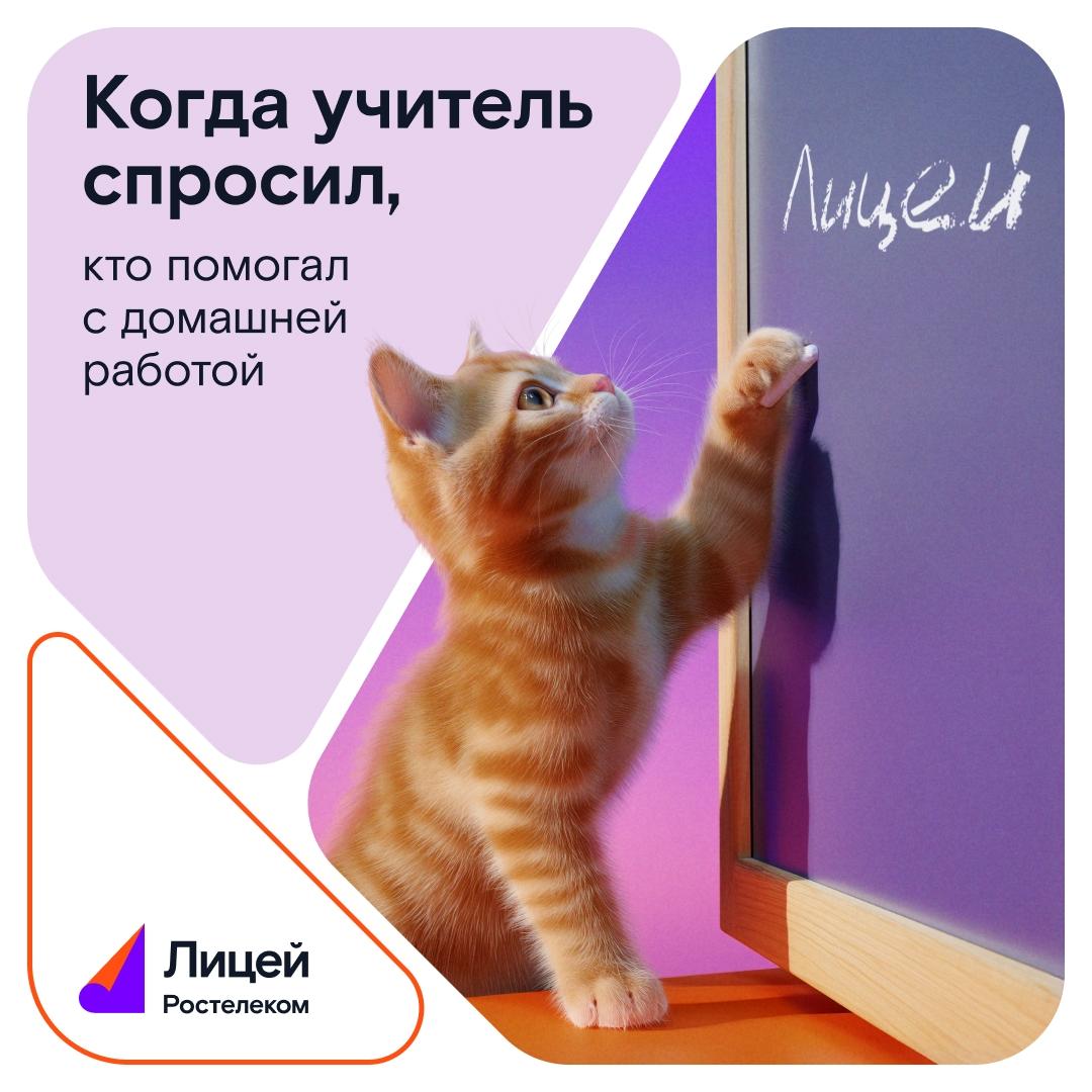 Фото Знания в подарок: новосибирцы могут выиграть подписку на «Ростелеком Лицей» 2