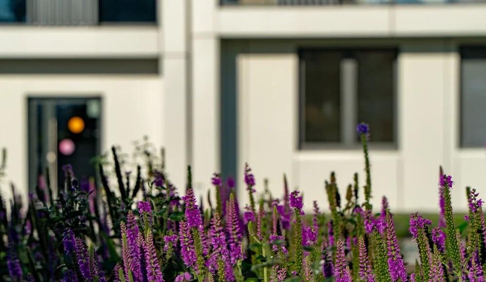 Фото Новая формула городского комфорта: что ищут покупатели жилья 5