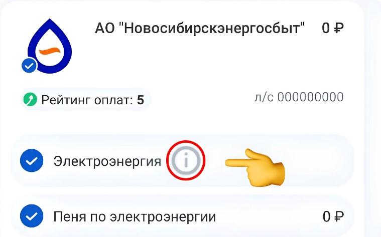 Фото Не понятна сумма в счёте за свет? Посмотреть детализацию расчёта стало проще 4