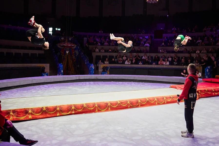 Фото 18 апреля пройдет Всемирный день цирка: как создается цирковое искусство, рассказали артисты шоу Гии Эрадзе 2 - Сиб.ФМ Фото 18 апреля пройдет Всемирный день цирка: как создается цирковое искусство, рассказали артисты шоу Гии Эрадзе 2