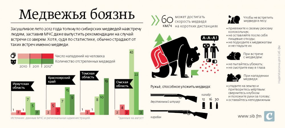 Нападения статистика. Боязнь медведей как называется. Статистика нападения медведей в России. Статистика нападений медведей на человека в России. Медведь инфографика.