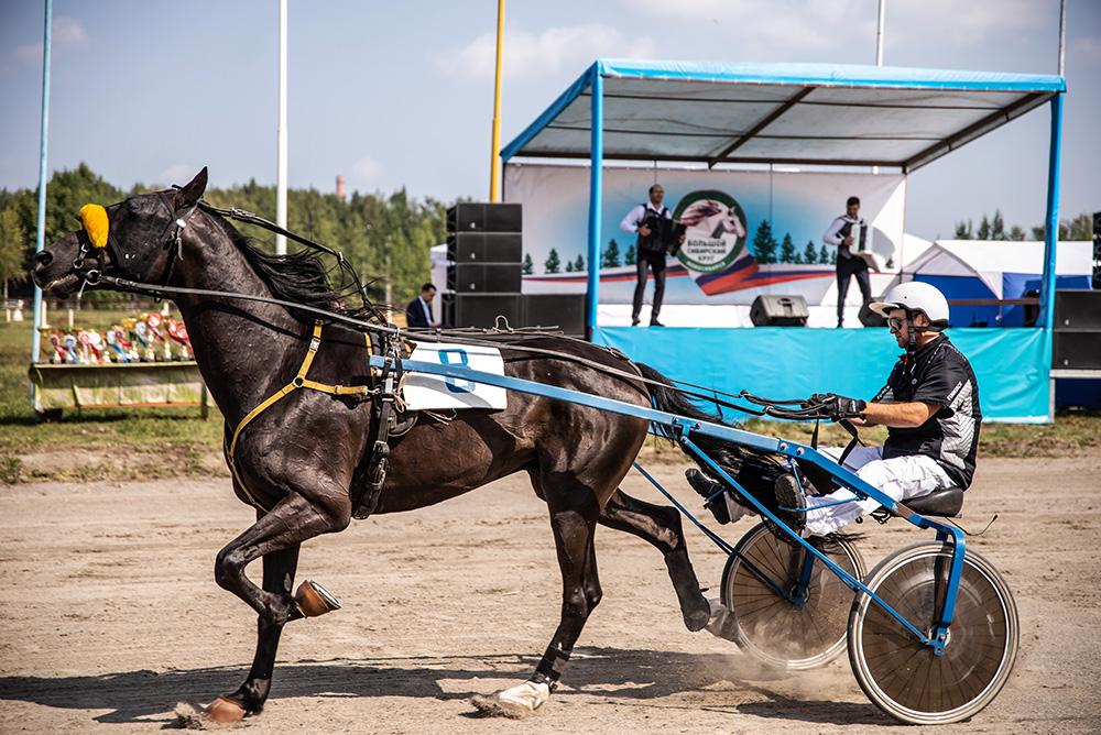 100 лошадиных сил